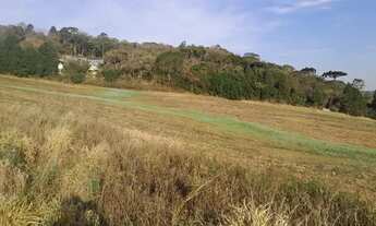 Imagem 7: Encontre o terreno que você procura em Caucaia do Alto Acesse já!