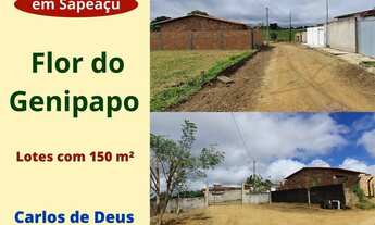 Imagem: Flor do Genipapo, lotes com excelente localização