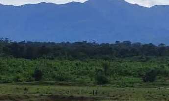 Imagem 6: Fazenda com título definitivo e matrícula