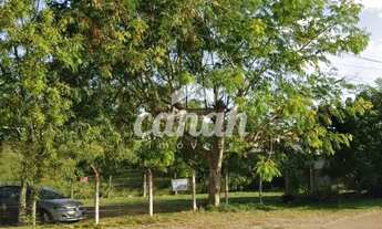 Imagem 5: Salão/Galpão à Venda na Vila Virginia, Ribeirão Preto, 5665m²