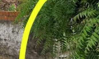 Imagem: Vendo Terreno