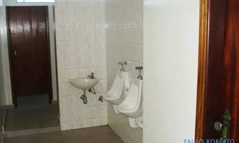 Imagem 5: GALPÃO - RIBEIRÃO DOS PORCOS - SP