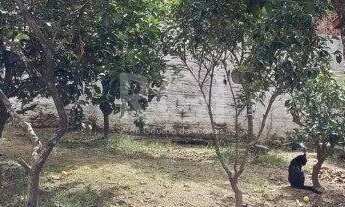 Imagem 2: Casa para Venda - 80m², 3 dormitórios, Extrema