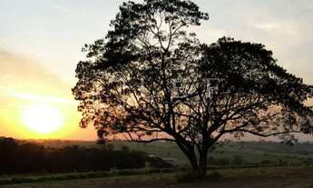 Imagem 6: Feito para o Cavalo, perfeito para o Cavaleiro