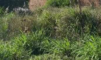 Imagem 3: Vendo terreno Terreno / lote com venda por R$20.000