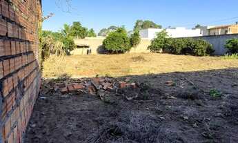 Imagem 4: Terreno Papagaio