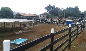 Imagem 6: Fazenda Fazenda / sítio com venda por R$1.000.000