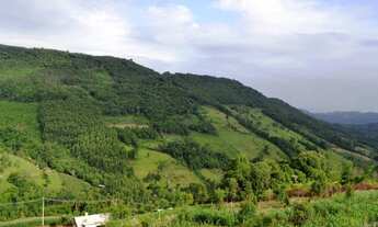 Imagem 4: TERRENOMorro Reuter