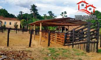 Imagem 2: Fazenda 319 Hectares Região De Nova Aurora -GO