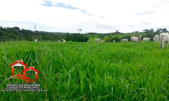 Imagem 5: Fazenda 319 Hectares Região De Nova Aurora -GO