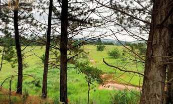 Imagem 4: CABREÚVA - Terreno Padrão - Jacaré