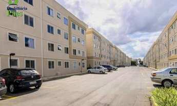 Imagem 5: SÃO JOSÉ DOS PINHAIS - Apartamento Padrão - BOM JESUS