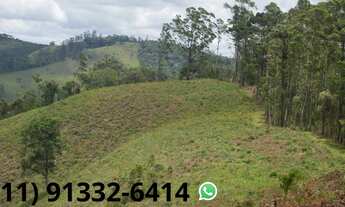 Imagem 1: Terreno de 1.000m². Barato e imperdível!