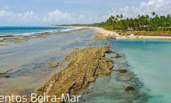 Imagem 6: Apartamento para venda tem 30 metros quadrados com 1 quarto em Muro Alto - Ipojuca - PE