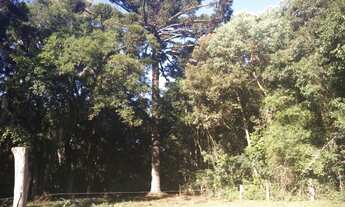 Imagem: Área à venda, 36000 m² por R$ 2.200.000,00