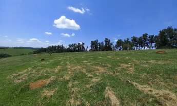 Imagem 5: Estou desapegando desses terrenos em Igaratá!