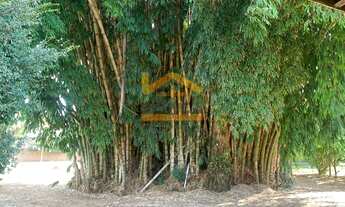 Imagem 6: NOVA ODESSA - Chácara - JARDIM MARAJOARA