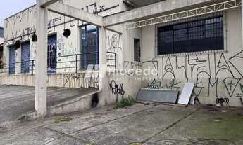 Imagem 4: Loja, Alto da Lapa, São Paulo - R$ 2.2 mi, Cod: 5700