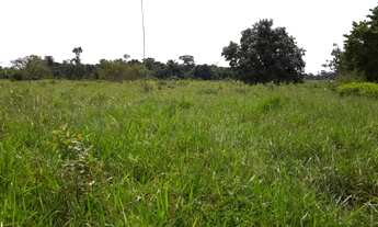 Imagem 2: SITIO COM 11 ALQUEIRES