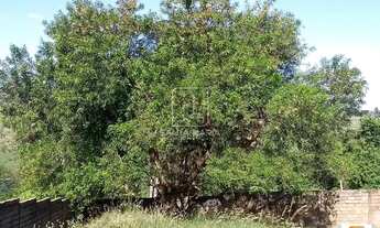 Imagem 4: Terreno (terreno normal