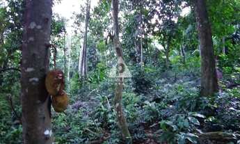 Imagem 3: Lote à venda, Guaratiba - RIO DE JANEIRO/RJ