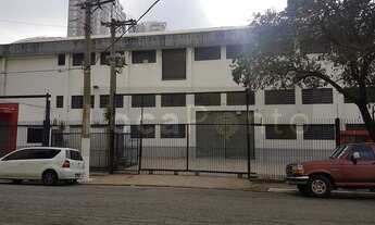 Imagem: São Paulo - Galpão/Depósito/Armazém