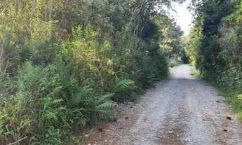 Imagem 3: Fazenda/Sítio/Chácara para venda com 1500 metros quadrados em Vila São Tiago - Piraquara
