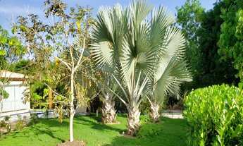 Imagem 4: CAMAÇARI - Casa de Condomínio - ITACIMIRIM