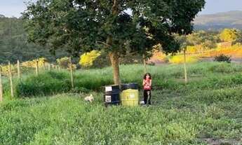 Imagem 7: Vendo Ágio no Condomínio Villa do Pescador - Corumbá 4