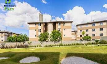 Imagem 4: SÃO JOSÉ DOS PINHAIS - Apartamento Padrão - BOM JESUS