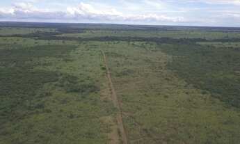 Imagem 5: FAZENDA COM 15.600 HECTARES NO TOCANTINS VALE DO ARAGUAIA