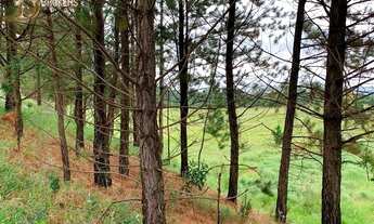 Imagem 6: CABREÚVA - Terreno Padrão - Jacaré