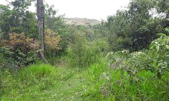 Imagem: Lote/Terreno para venda possui 20000 metros