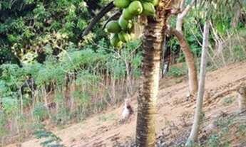 Imagem 6: Sitio em Chapoa Fundão 5mil metros