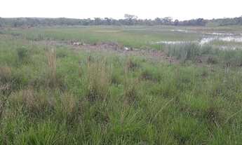 Imagem 6: Terreno Rural, Fazendinha de 20.000m2 e algumas com lagoa nos fundos !!