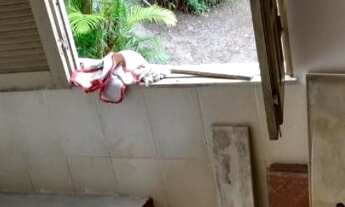 Imagem 7: Alugo casa em taipoca