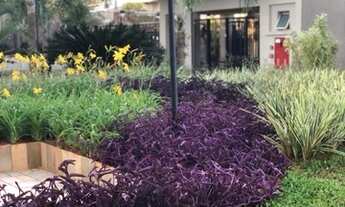 Imagem 6: SÃO JOSÉ DO RIO PRETO - Apartamento Padrão - JARDIM TARRAF II