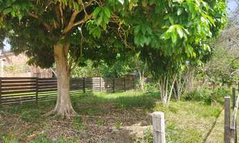 Imagem 3: Terreno no Jorge Kalume( Barro Vermelho