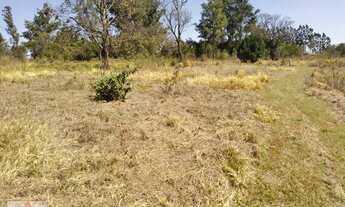 Imagem 2: área - Distrito Industrial - Campinas