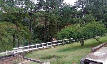 Imagem 3: SITIO RURAL em MONTEIRO LOBATO - SP, Bairro do Souza