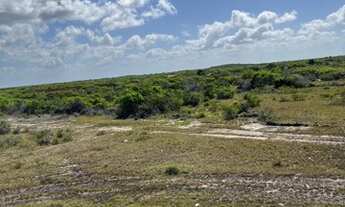 Imagem 5: Lotes Lençóis Maranhense