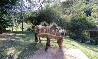 Imagem 6: Lindo Haras para venda em Secretário. Tenha qualidade de vida na Serra Carioca