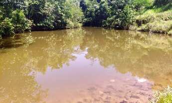 Imagem 5: Ótima fazenda em Goiás 256 Alqueires..