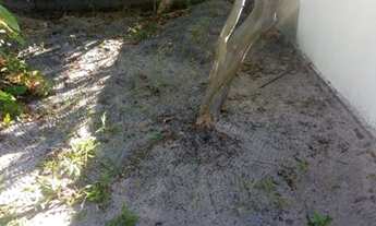 Imagem 5: Vendo casa de alvenaria