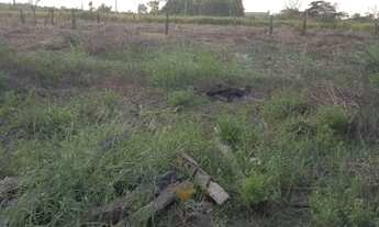 Imagem 5: Sitio no km 17 sentido humaita