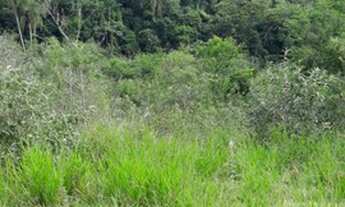 Imagem 4: Desapego agora dos terrenos em Santa Isabel!