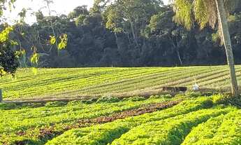Imagem 5: Lotes Com Acesso Fácil ao Centro de Ibiúna SP