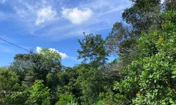 Imagem 5: Chácara TOP.. Chácara com venda por R$200.000