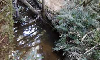 Imagem 5: Chácara á venda em Piraquara, no Roça nova