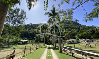 Imagem: Lindo Haras para venda em Secretário. Tenha